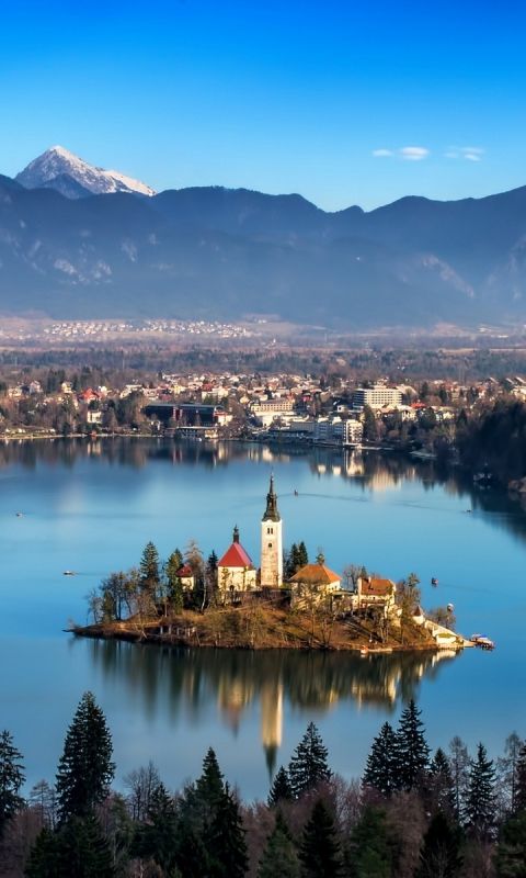 d09137c7592aea78a856dcfb8ad10040